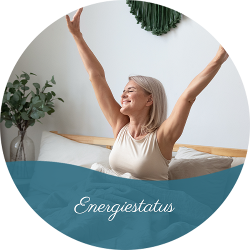 Energiestatur